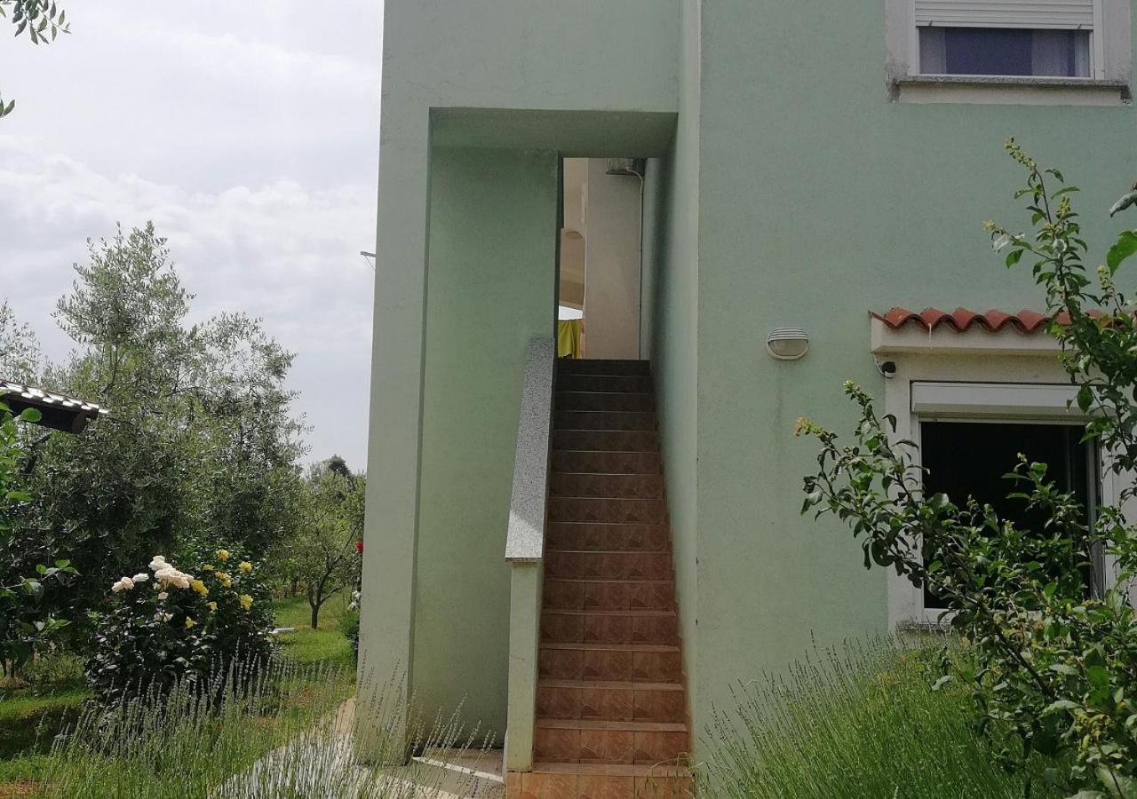 Apartmani Natasa Vrsar Exterior foto